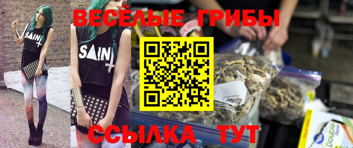 Галлюциногенные грибы мицелий  Вход с VPN  Северодвинск 