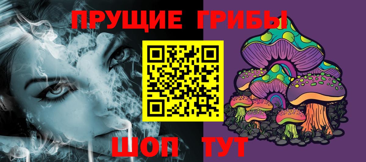 Псилоцибиновые грибы Psilocybe Северодвинск